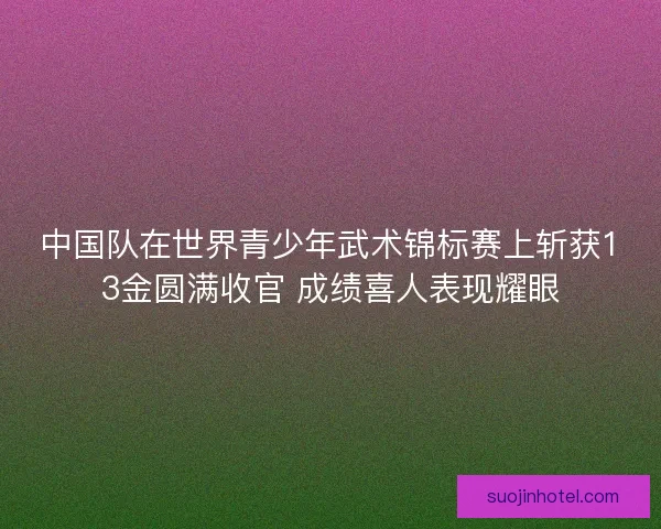 中国队在世界青少年武术锦标赛上斩获13金圆满收官 成绩喜人表现耀眼